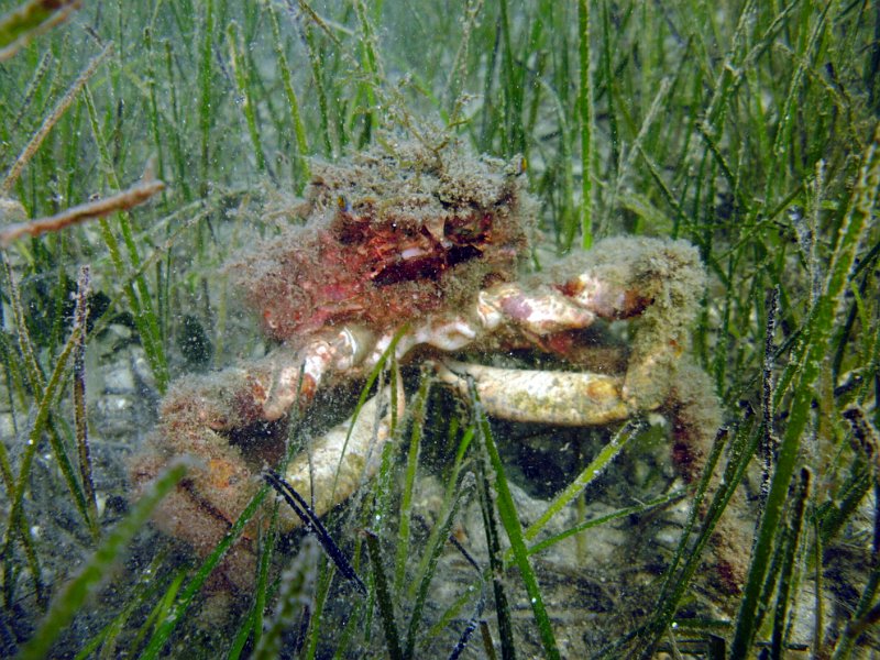 2012-09-17 15-40-20 Lisa.jpg